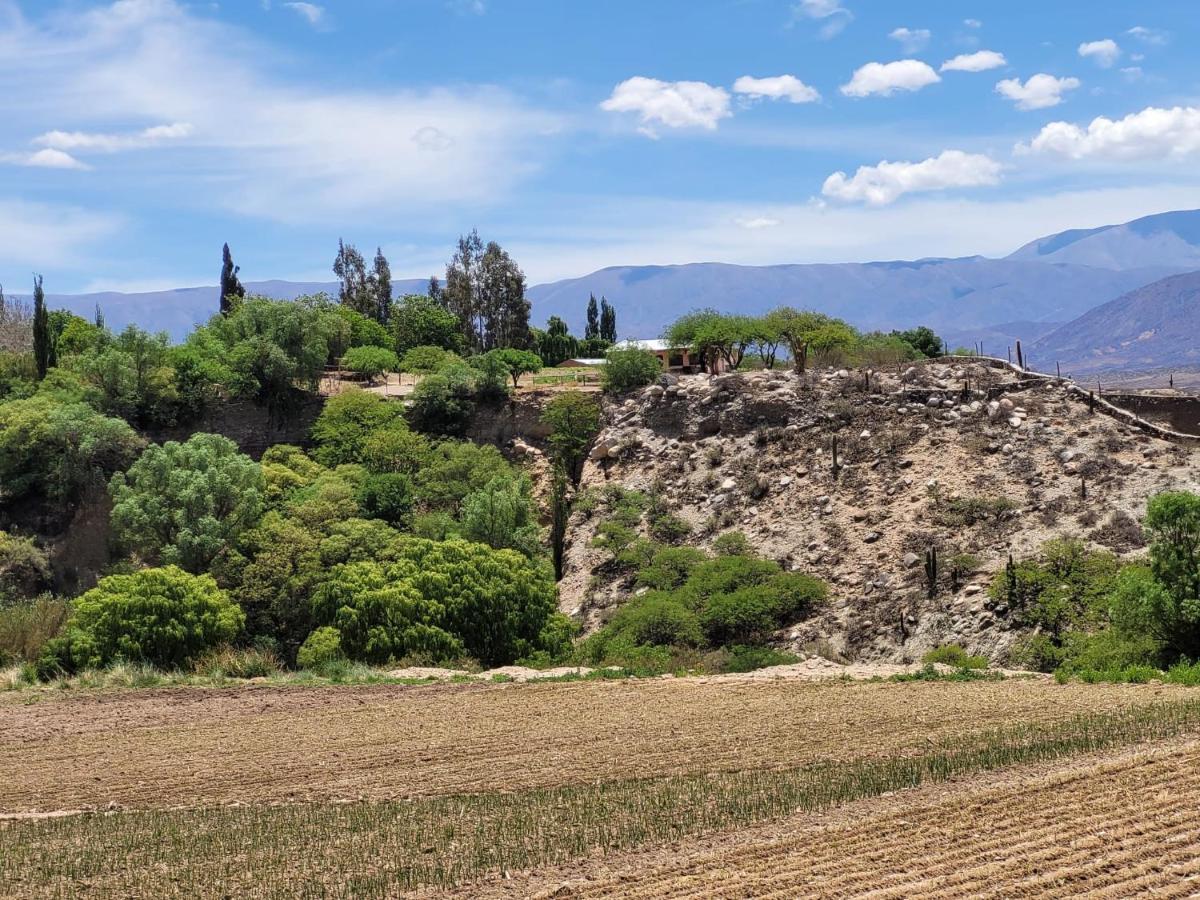 Casa De Campo Huaka Huasy Cachí Buitenkant foto